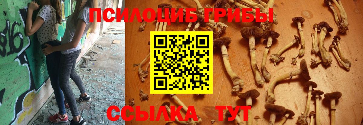 Псилоцибиновые грибы мицелий  Псилоцибиновые грибы мухоморы  продажа наркотиков  Нижнекамск  Вход с VPN 